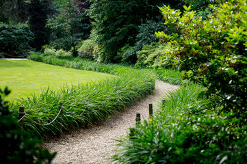path in the park through the bushes and meadow