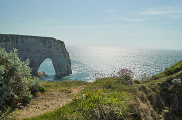 Flowers in front of one the Etretat Arches