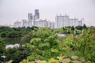Fototapeta premium The view of the oriental garden and lake in Seoul, South Korea. There are apartment complex and buildings in the distance.