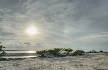Late afternoon at Isla Blanca, Mexico