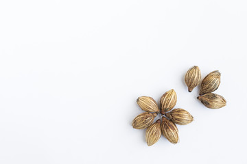 Obraz na płótnie Canvas Dry palm seed arrangement in flower shape isolate on white background