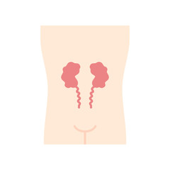 Ill kidneys flat design long shadow color icon. ore human organ. Unhealthy urinary system. Nephropathy. Sick internal body part. Kidney failure. Vector silhouette illustration
