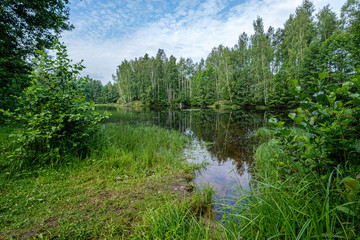 Fototapeta na wymiar calm summer day evening by the forest lake in forest