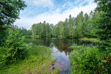 Fototapeta premium calm summer day evening by the forest lake in forest