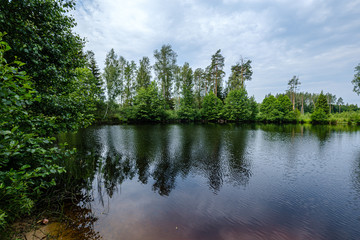 calm summer day evening by the forest lake in forest