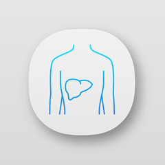 Healthy liver app icon. Human organ in good health. People wellness. Functioning digestive gland. UI/UX user interface. Web or mobile applications. Vector isolated illustrations