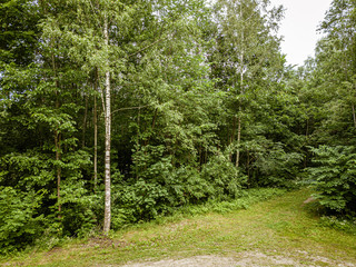 Obraz premium country road in green forest and fields drone aerial image