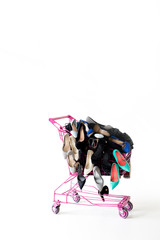 Pink trolley with multi-colored shoes on a white background. isolated