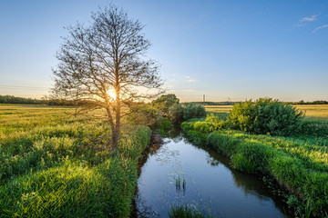 calm summer day evening by the forest lake in forest