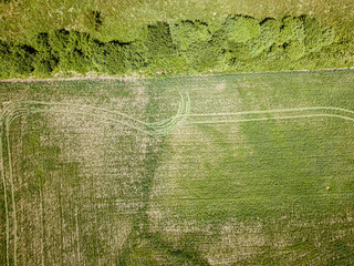cultivated agriculture fields from above birds eye in summer