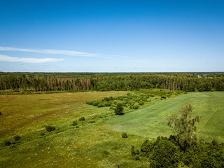 Fototapeta premium cultivated agriculture fields from above birds eye in summer