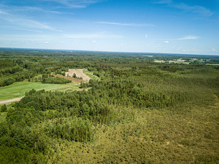 endless green forest from drone aerial image in summer