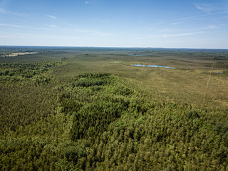Fototapeta na wymiar endless green forest from drone aerial image in summer