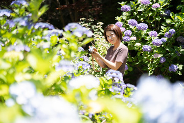 紫陽花とカメラ女子