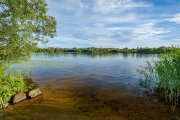 calm summer day evening by the forest lake in forest
