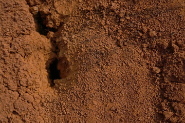 Abstract rough red soil texture 