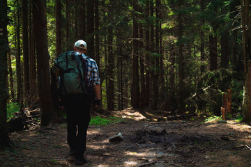 Fototapeta premium male traveler goes to the mountain through the forest