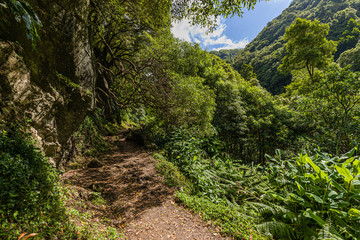 Fototapeta na wymiar Nature Salto Do Prego trailhead at Faial Da Terra, Sao Miguel, Azores