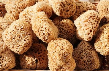 Brown natural greek sea sponge