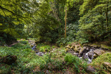 Nature Salto Do Prego trailhead at Faial Da Terra, Sao Miguel, Azores