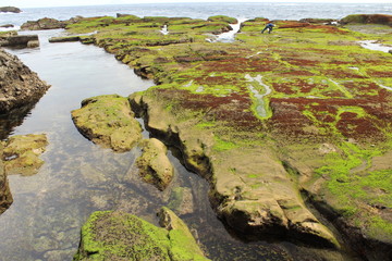 伊豆下田　恵比寿島