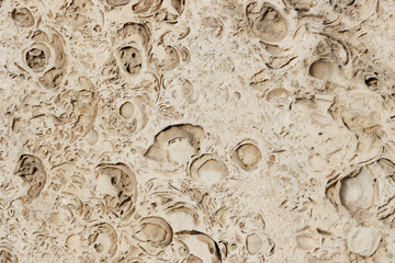 The texture of the shell rock. Beige background.	