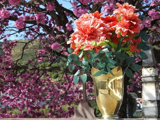 Scene in a cemetery: a golden metal vase with artificial red flowers, illuminated by the sun. In the unfocused background, a large tree with pink flowers.