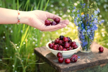The female hand of the palm holds the delicious cherry berry with a plate of sweet cherry and a bouquet of lilac colors on a background