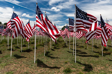 Field Of Honor at the Airborne and Special Operations Museum in Fayetteville, NC