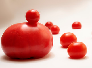 ripe red tomato big and small