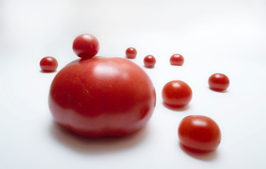 ripe red tomato big and small