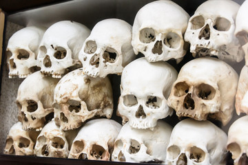 Stack of human skulls following a cultural genocide