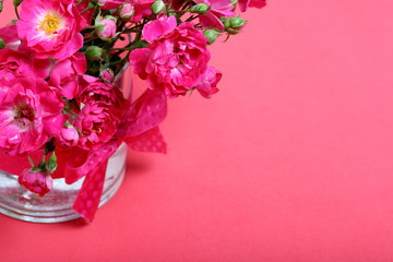 Bouquet of crimson roses in a glass vase with a bow. It stands on the surface of the coral color.