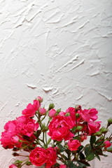 Bouquet of crimson roses in a glass vase with a bow. Against the background of white wall with decorative plaster.