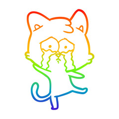 rainbow gradient line drawing cartoon crying cat