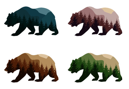 colorful styling bear for your design, isolated objects, vector illustration