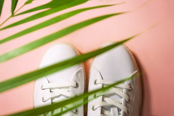 White sneakers are lying under the shade of palm tree on pink coral background. Top view. Flat lay. Copy space. Summer tropical concept.