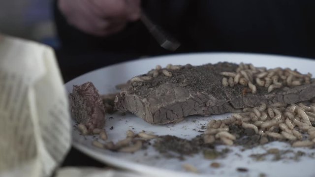 Man eagerly cuts a cooked meat with a knife, on which disgusting maggots crawl in the mud. Close-up.