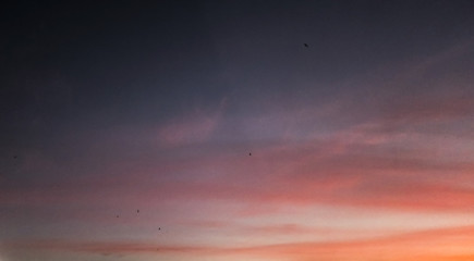 Sunset sky evening night inspiration gradient clouds pink orange purple romantic background nature details