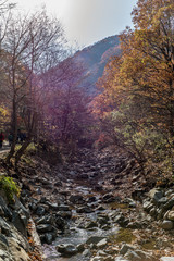 Fototapeta na wymiar Mountain in the autumn