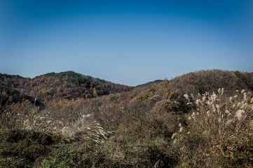 Fototapeta na wymiar Mountain in the autumn