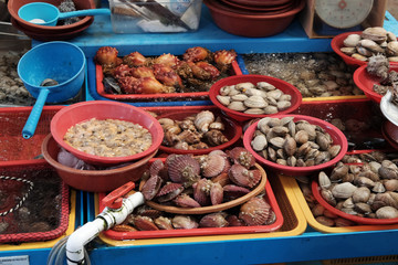 Fresh Seafood at the market in Busan, South Korea