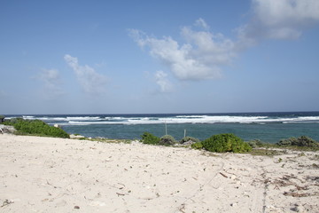 Fototapeta na wymiar tropical island summer beach sun and sand