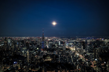 Fototapeta na wymiar Tokyo city