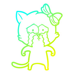 cold gradient line drawing cartoon cat