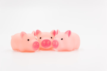 Three pink cute rubber toy pigs united together on the left side of the white background