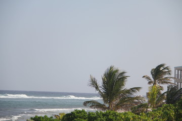 tropical island summer beach sun and sand