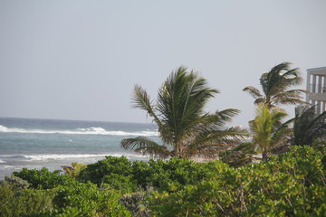 tropical island summer beach sun and sand