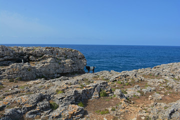 Les chèvres et la côte