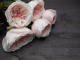 Beautiful peony-shaped delicate pink roses in artistic blur. Wedding bouquet for the bride.
